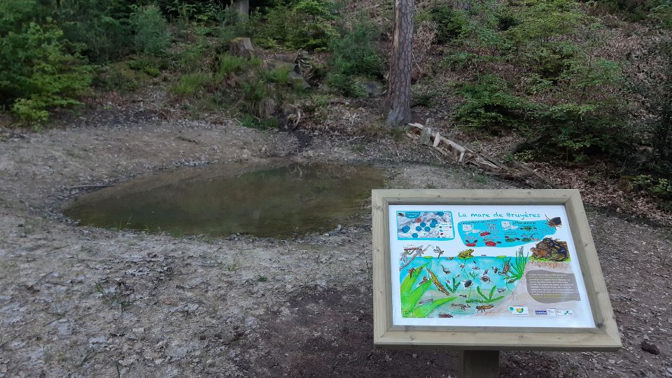 Trois nouvelles mares pour la biodiversité sur le territoire de la CCB2V