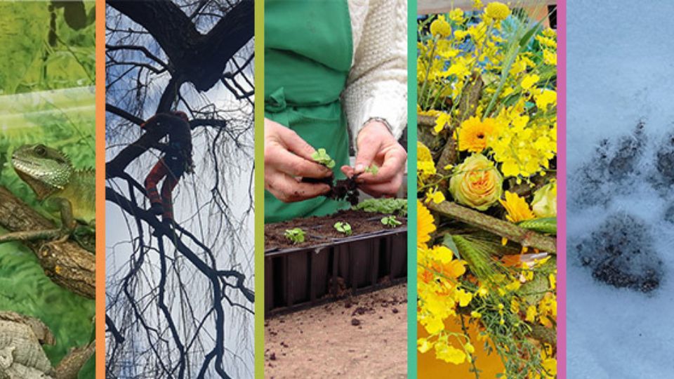 Nouvelle formation à Roville, devenez fleuriste à votre rythme !