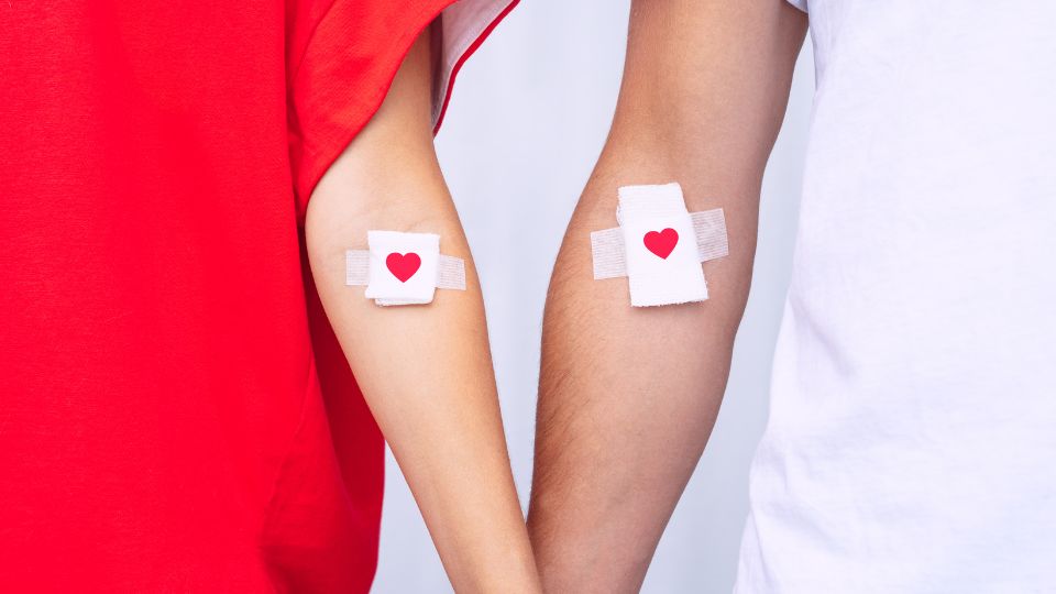 Où donner son sang en septembre ?