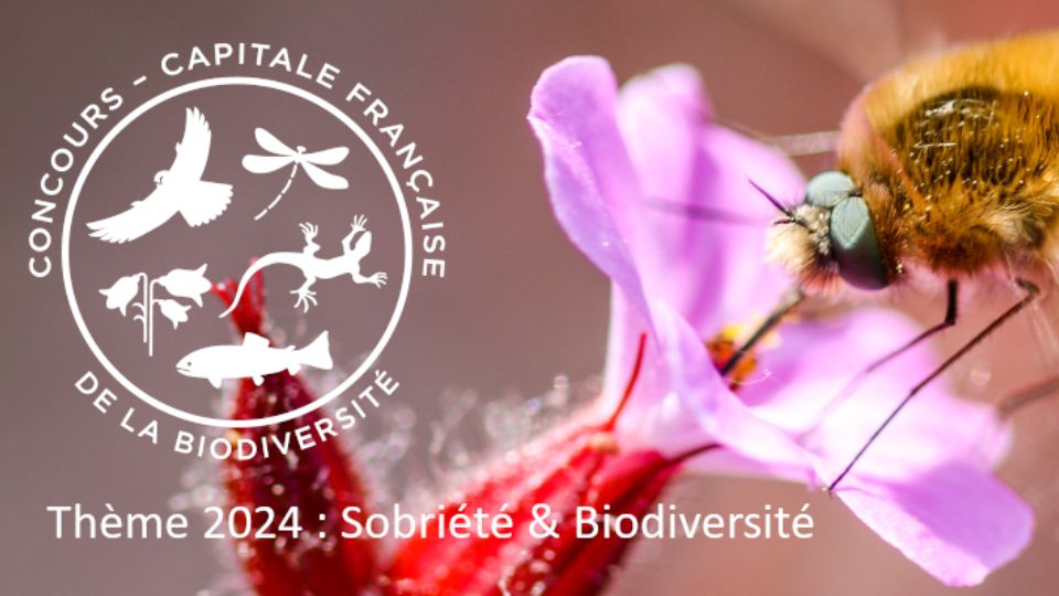 Communauté de Communes de Bruyères, Vallons des Vosges élue Capitale Française de la Biodiversité 2024