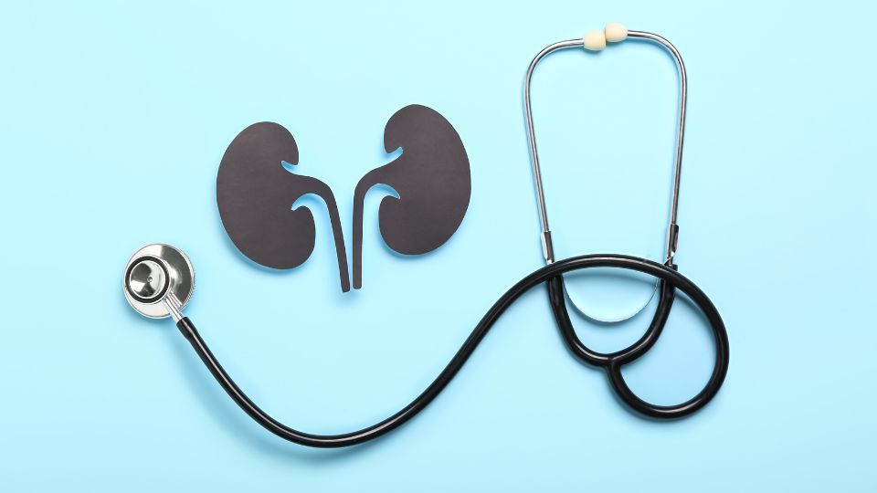 Une consultation de néphrologie au Centre Hospitalier d'Epinal