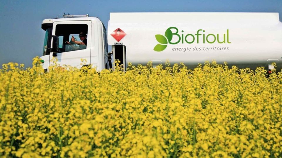 Chauffage au Biofioul : Les risques d’une transition sans adaptation