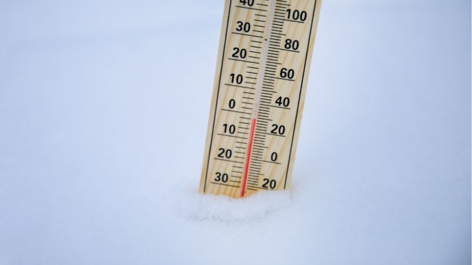 Indemnisation fondée sur la Solidarité Nationale : reconnaissance officielle des pertes agricoles dans les Vosges