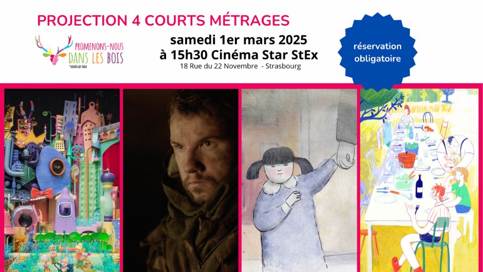 Projection de quatre courts-métrages animés et tournés en région, soutenus par Vosges TV