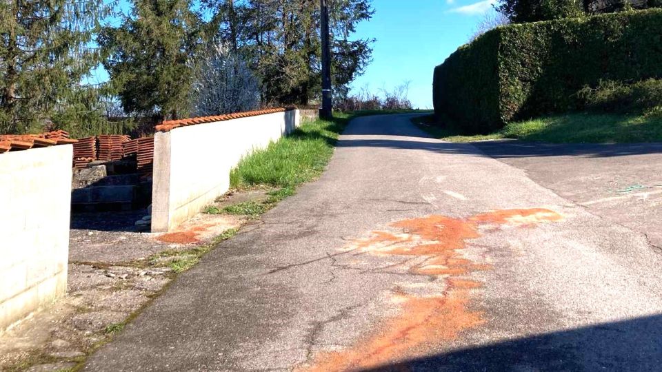 Double meurtre à Xertigny : le couple habitait Dijon