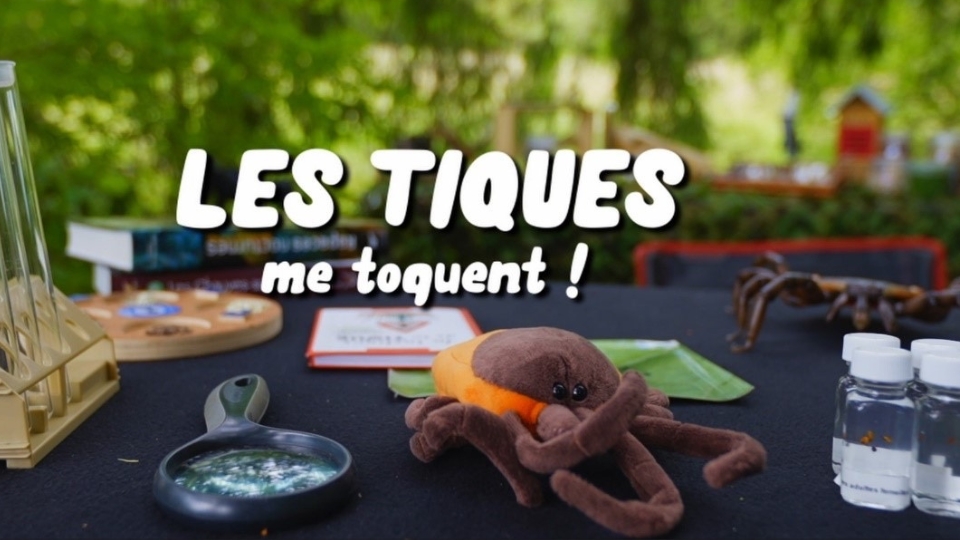 Le printemps marque le retour des tiques : soyez vigilants !