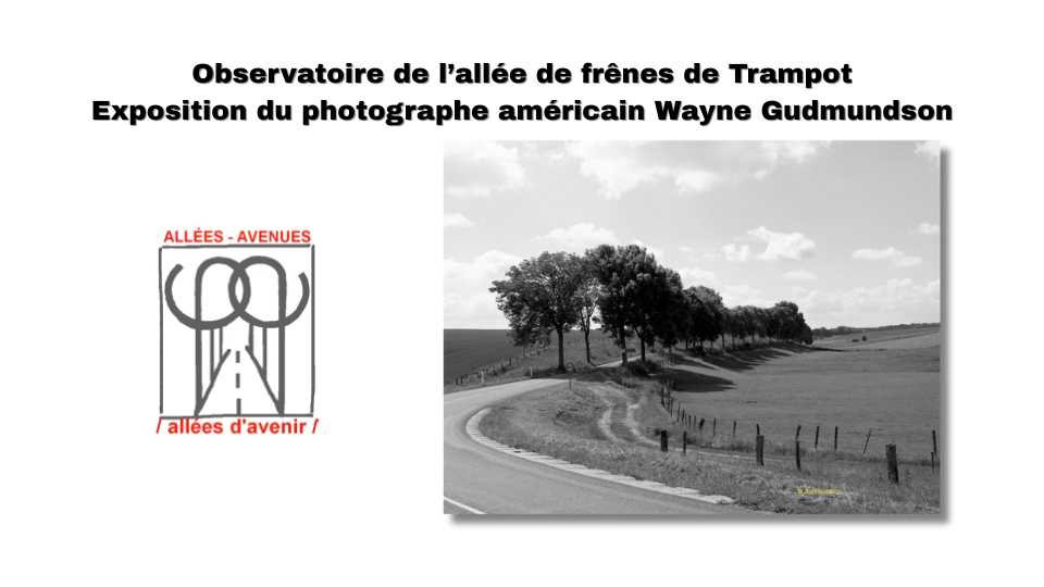 Wayne Gudmundson expose à Trampot : un hommage photographique aux allées d'arbres