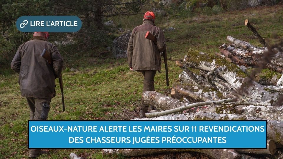 Oiseaux-Nature alerte les maires sur 11 revendications des chasseurs jugées préoccupantes