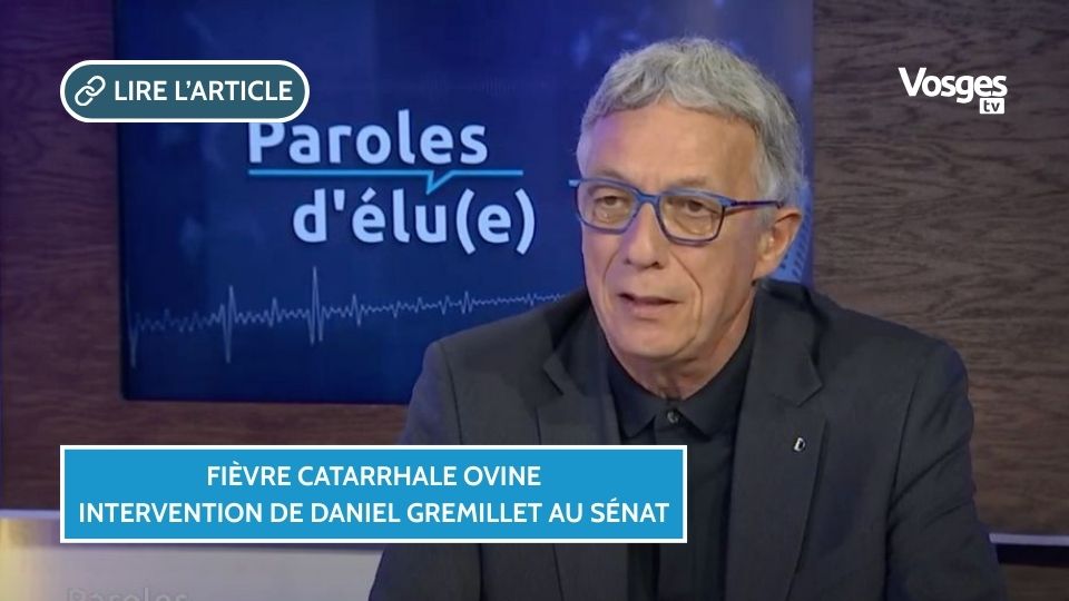 Fièvre Catarrhale Ovine : intervention de Daniel Gremillet au Sénat