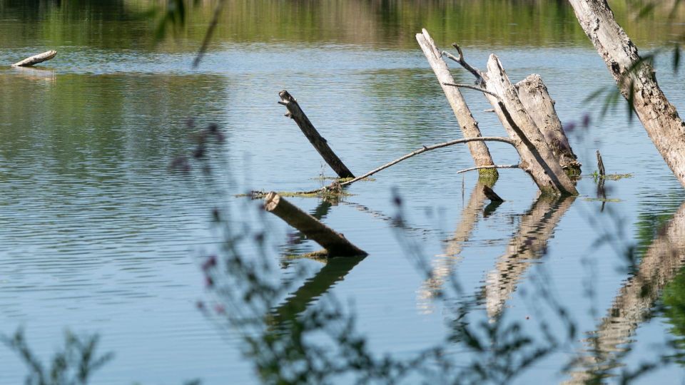 Préserver la ressource en eau : un enjeu clé pour l’agriculture