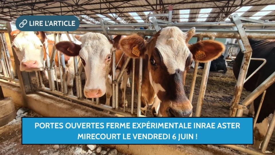 Portes ouvertes Ferme expérimentale INRAE ASTER Mirecourt le vendredi 6 juin !