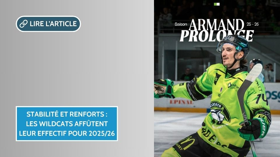 Stabilité et renforts : les Wildcats affûtent leur effectif pour 2025/26