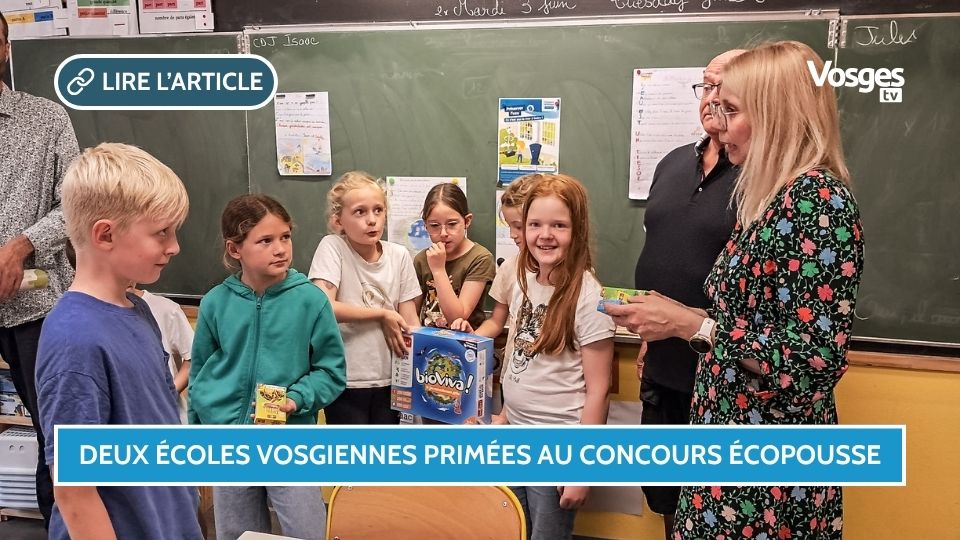 Deux classes vosgiennes récompensées au concours artistique Écopousse