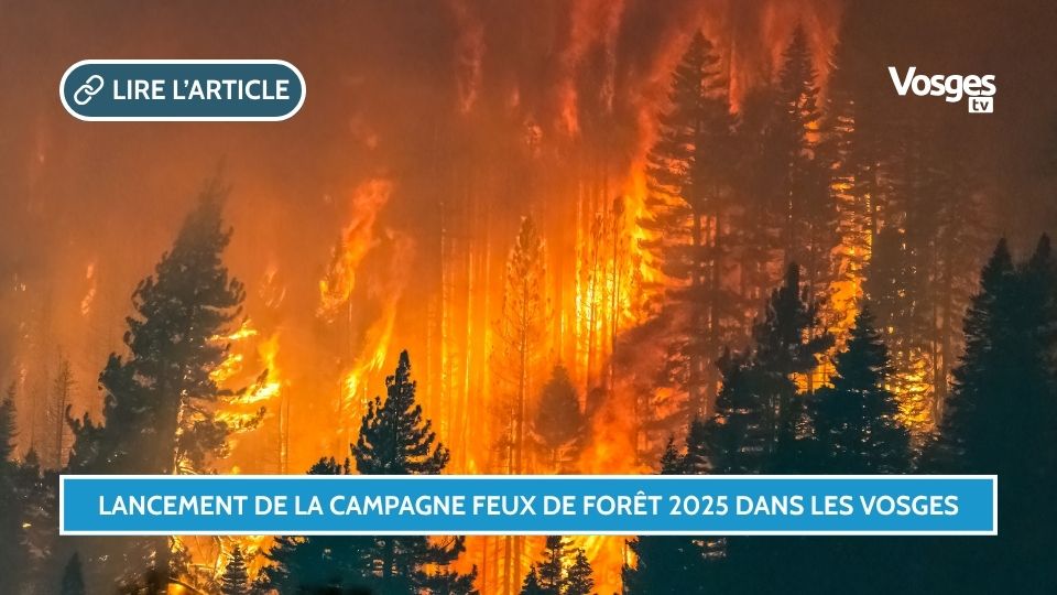 Lancement de la campagne feux de forêt 2025 dans les Vosges