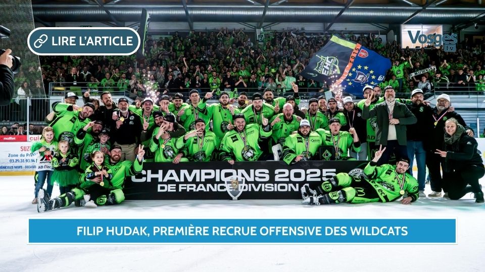 Recrutement, fidélité et adieux : l’intersaison s’accélère chez les Wildcats d’Épinal