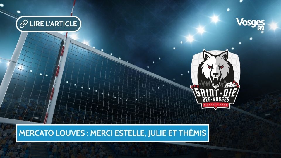 Mercato 2025-2026 : trois figures emblématiques quittent les Louves de Saint-Dié