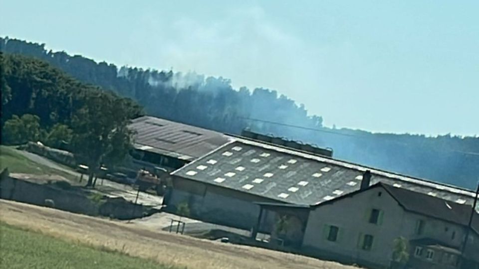 Feu de forêt à Fays : pas de gros dégâts, situation sous contrôle.