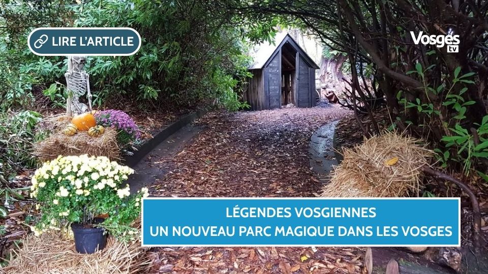 Légendes Vosgiennes : un nouveau parc immersif ouvre ses portes le 5 juillet