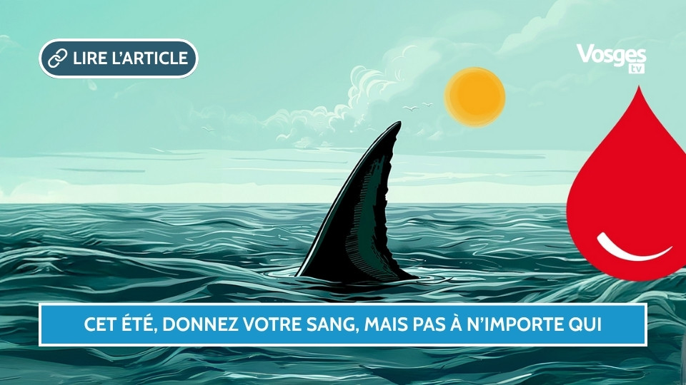Cet été, donnez votre sang : un geste vital à portée de main