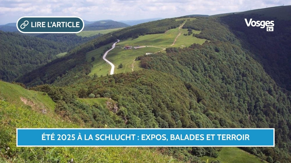 Été 2025 au col de la Schlucht : nature, savoir-faire et découvertes au sommet