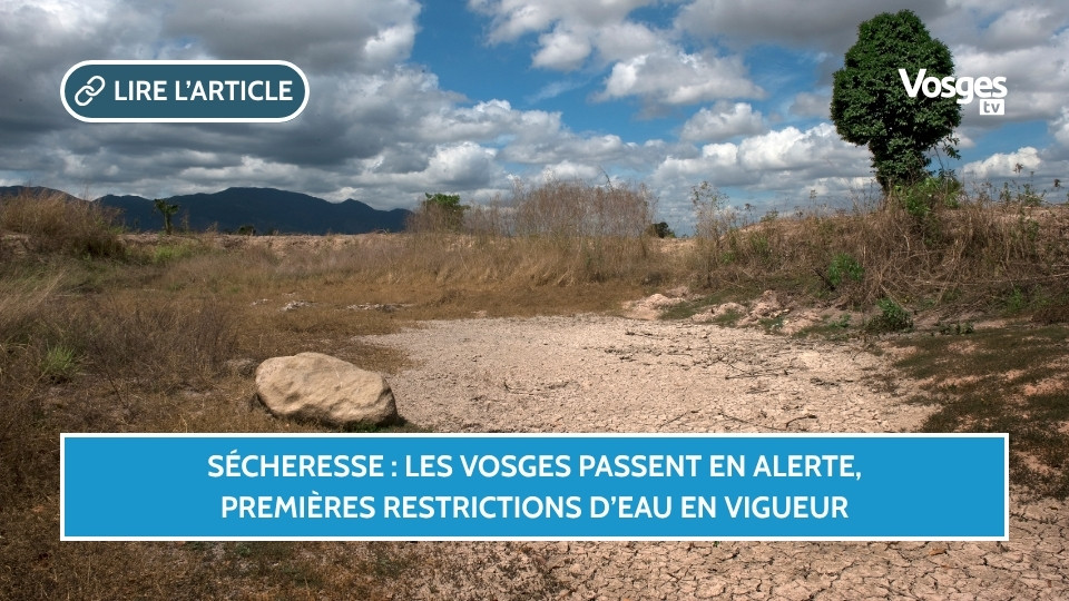 Sécheresse : les Vosges passent en alerte, premières restrictions d’eau en vigueur
