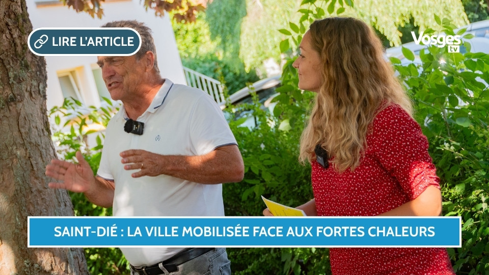 Saint-Dié-des-Vosges : la Ville mobilisée face aux fortes chaleurs