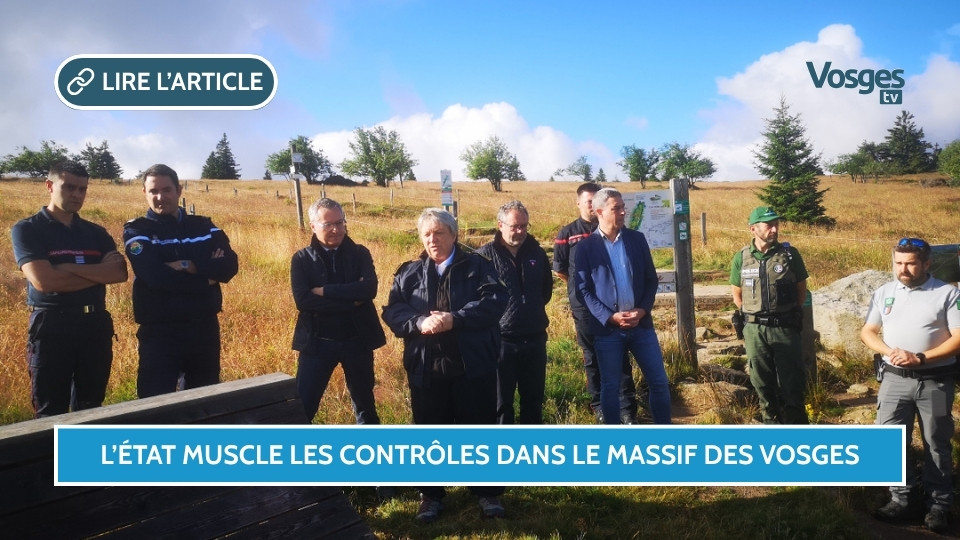 Vosges : un dispositif renforcé pour protéger le massif durant l’été