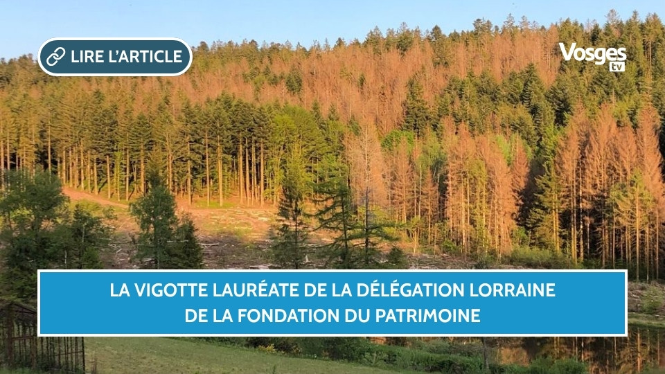 La Vigotte lauréate de la délégation Lorraine de la Fondation du patrimoine