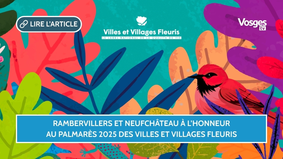 Rambervillers et Neufchâteau à l'honneur au palmarès 2025 des Villes et Villages Fleuris