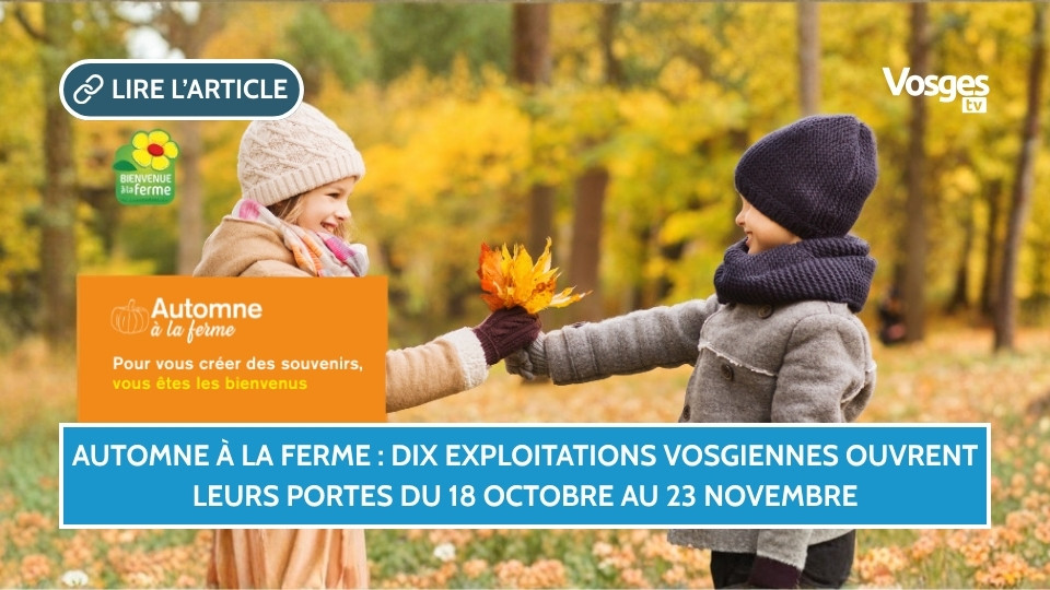 Automne à la ferme : dix exploitations vosgiennes ouvrent leurs portes du 18 octobre au 23 novembre