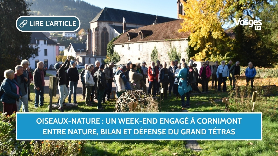 Oiseaux-Nature : un week-end engagé à Cornimont entre nature, bilan et défense du grand tétras