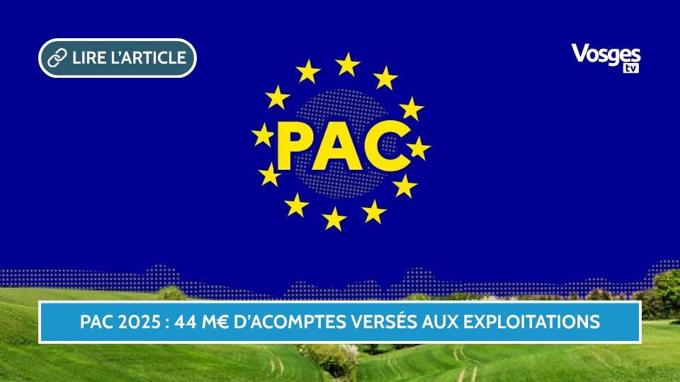 PAC 2025 : 44 M€ d’acomptes versés aux exploitations