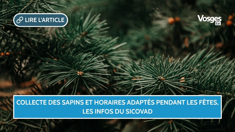 Collecte des sapins et horaires adaptés pendant les fêtes, les infos du SICOVAD