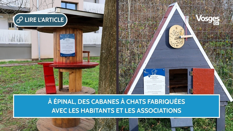 À Épinal, des cabanes à chats fabriquées avec les habitants et les associations