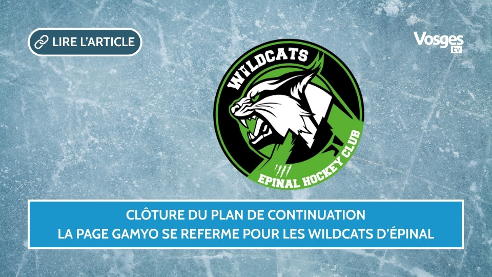Clôture du plan de continuation : la page Gamyo se referme pour les Wildcats d’Épinal