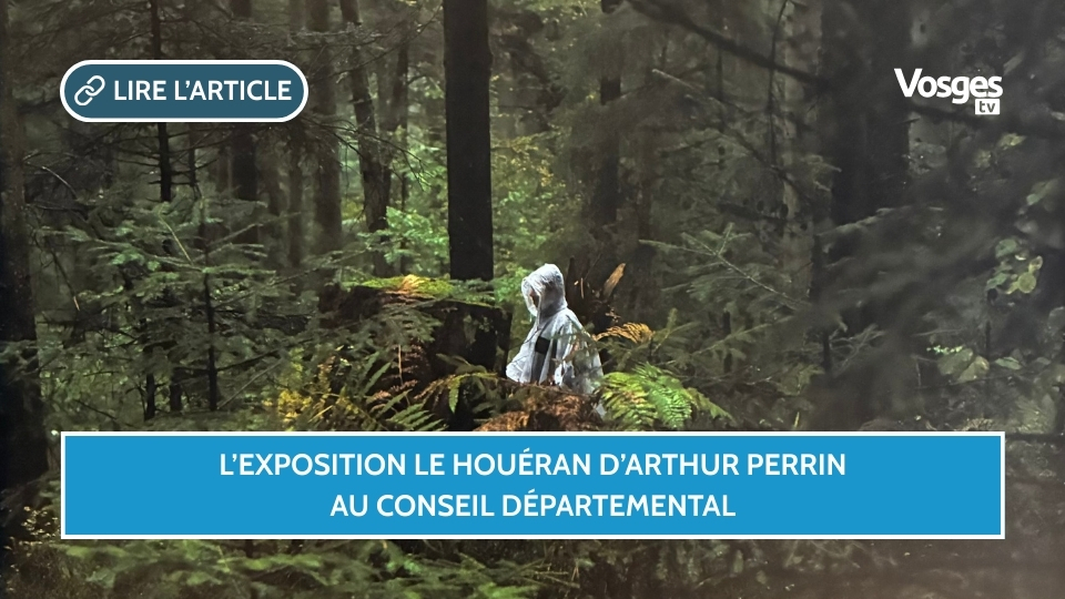Épinal : l’exposition Le Houéran d’Arthur Perrin au Conseil départemental