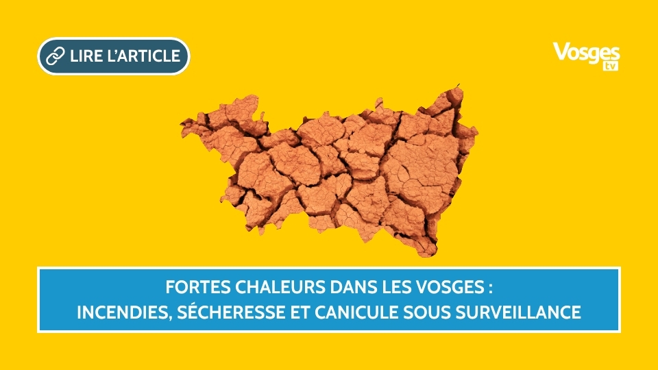 Fortes chaleurs dans les Vosges : incendies, sécheresse et canicule sous surveillance