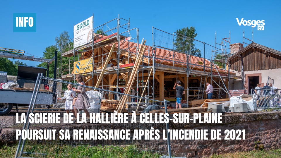La scierie de la Hallière à Celles-sur-Plaine poursuit sa renaissance après l’incendie de 2021
