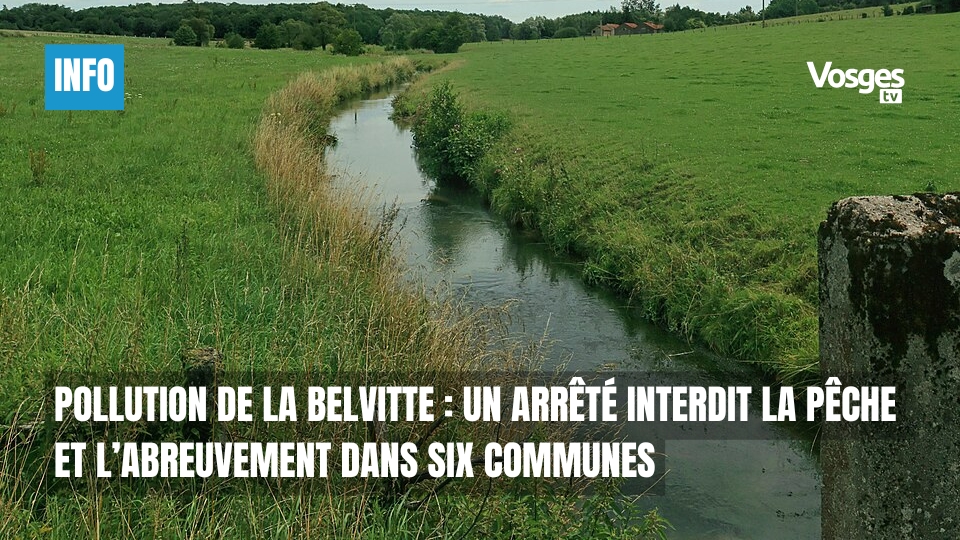 Pollution de la Belvitte : un arrêté interdit la pêche et l’abreuvement dans six communes