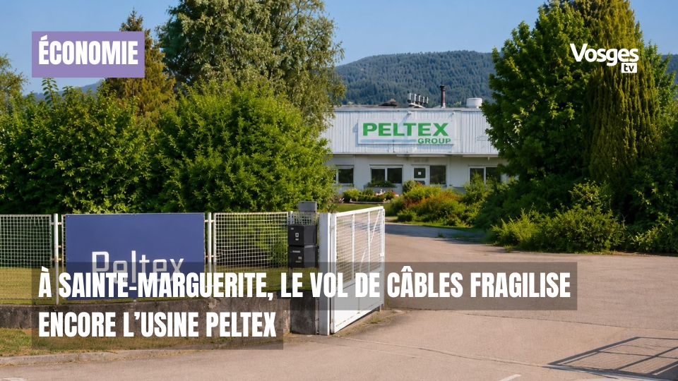 À Sainte-Marguerite, le vol de câbles fragilise encore l’usine Peltex