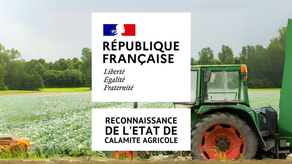 Inondations d’août 2024 : reconnaissance officielle de calamité agricole dans les Vosges